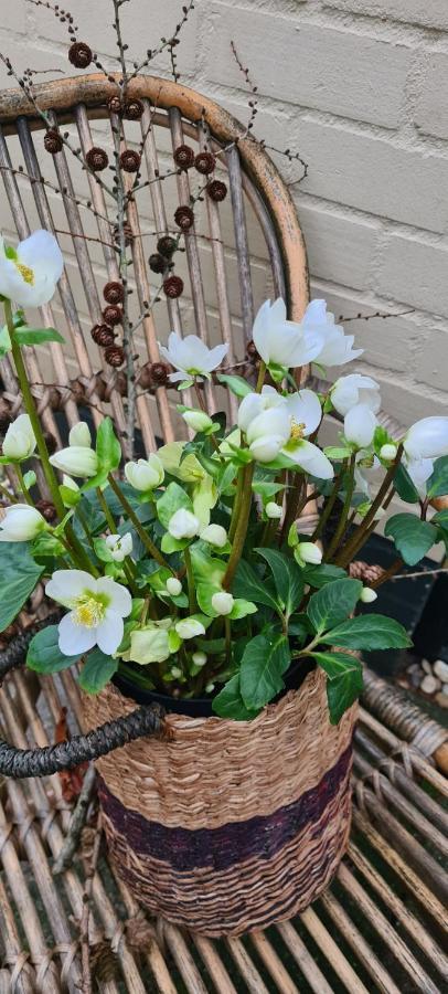 Marry'S Boshuisje Dalfsen Bagian luar foto