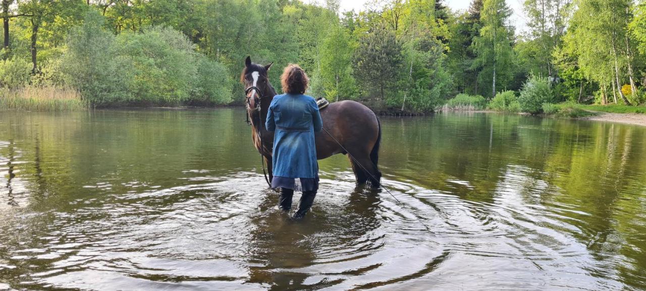 Marry'S Boshuisje Dalfsen Bagian luar foto