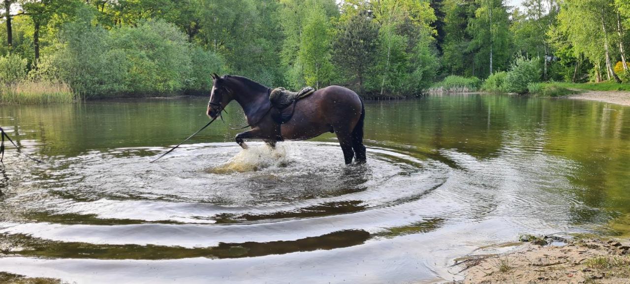 Marry'S Boshuisje Dalfsen Bagian luar foto